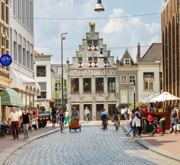 De bibliotheek van Dordrecht